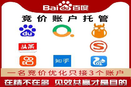 竞价代运营成功案例：快速占领市场